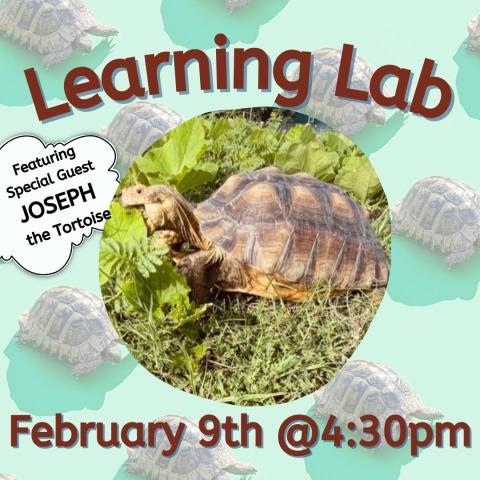 Learning Lab