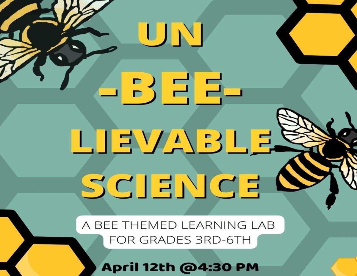 Learning Lab bees