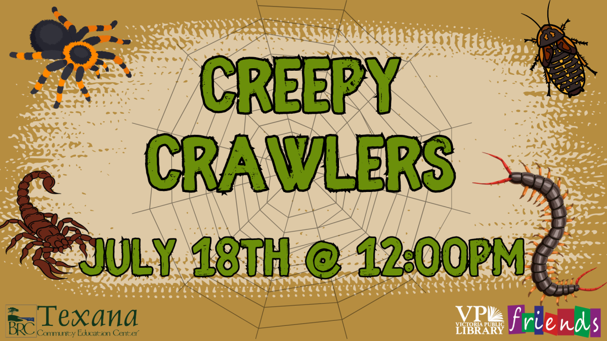 creepy crawlers 12pm